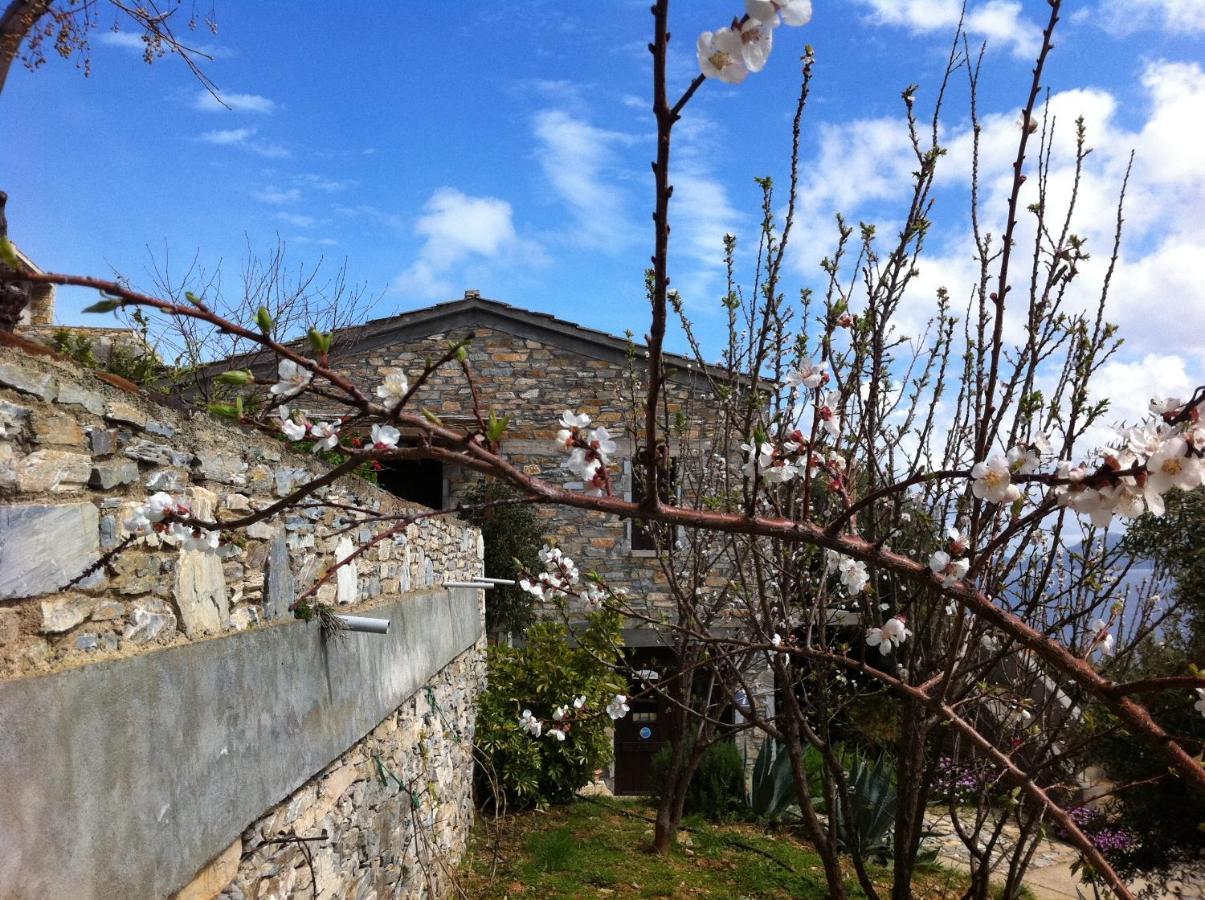 Pyrgos Traditional Village Ágios Kírykos Exteriér fotografie